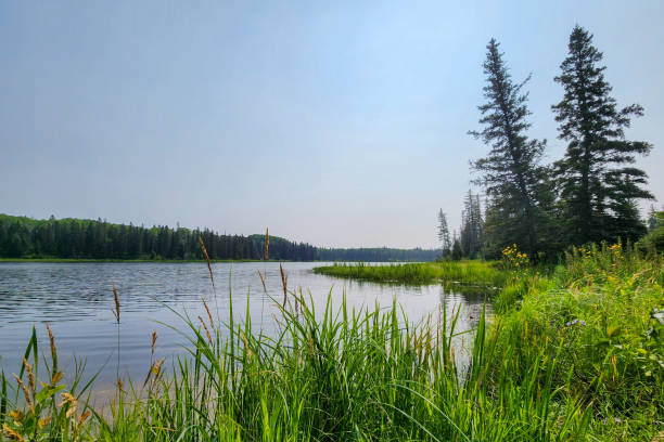 istock calm scene at Canadian lake 1602473285