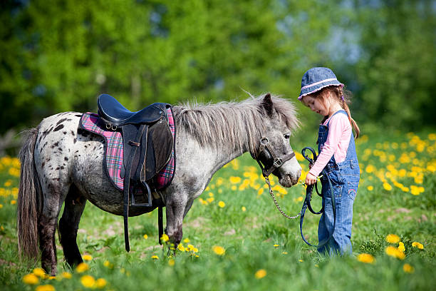 A horse and a child in a field