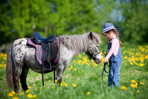 Young girl walking her horse at a ranch