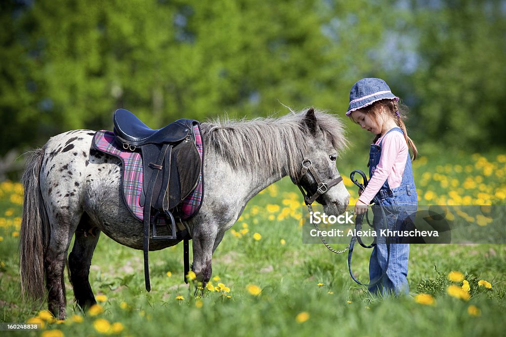 A horse and a child in a field Horse and child standing in a field in spring. Horse Stock Photo