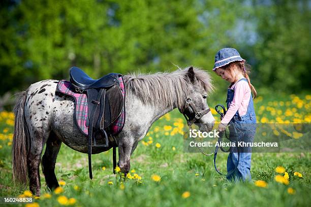 A Horse And A Child In A Field Stock Photo - Download Image Now - Horse, Child, Pony