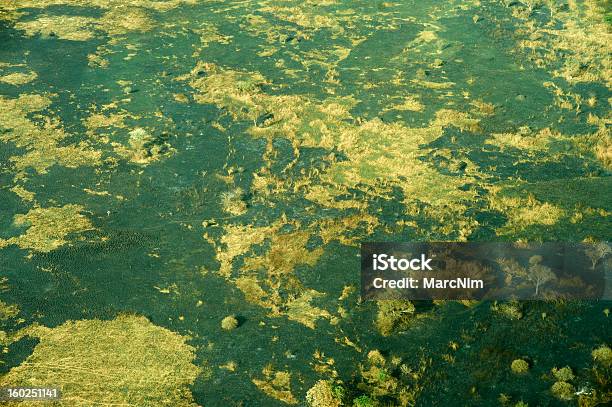 Vista Aérea Da Paisagem No Sudão Do Sul - Fotografias de stock e mais imagens de Ao Ar Livre - Ao Ar Livre, Beleza natural, Cena Não Urbana