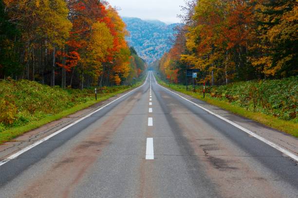 eine abnehmende perspektivische ansicht einer landstraße, die an einem sonnigen herbsttag in kamishihoro, hokkaido, japan, geradeaus bergauf zu einem berg im hintergrund mit leuchtenden herbstfarben an der straße führt - asphalt beauty in nature nature scenics stock-fotos und bilder