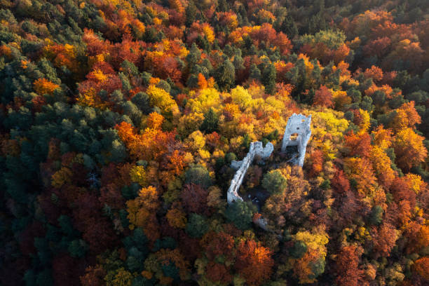 istock Old Ruins In Autumn Forest 1602540581