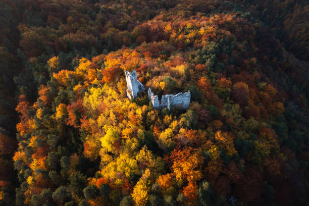 istock Old Ruins In Autumn Forest 1602541094