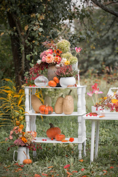 istock autumn  natural decor with pumpkins  in garden 1602565949