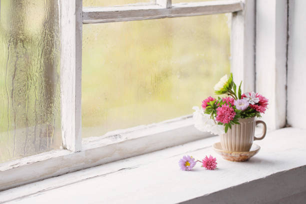 istock flowers in little cup on old white windowsill 1602565963