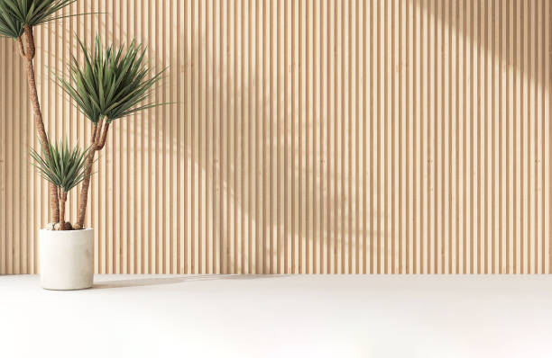istock Tropical green dracaena in concrete pot on white floor in sunlight, shadow on blank light brown wood panelling wall 1602584271
