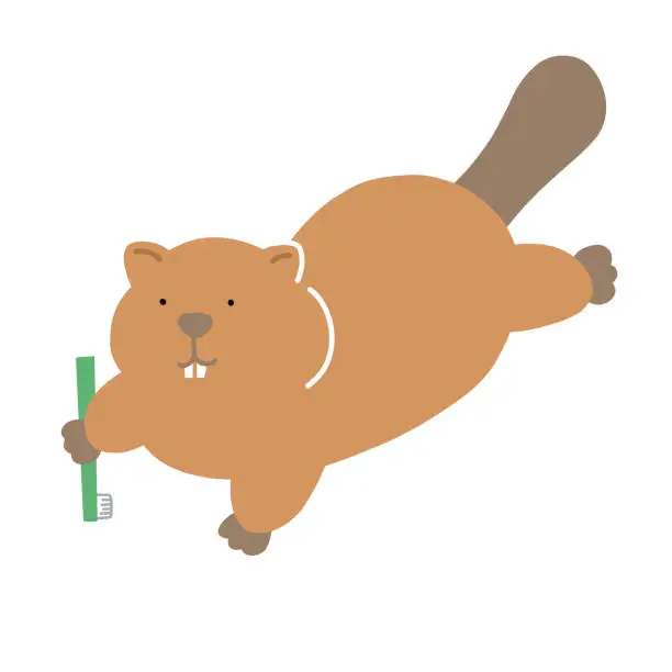 Vector illustration of Vector illustration of a beaver holding a toothbrush.
