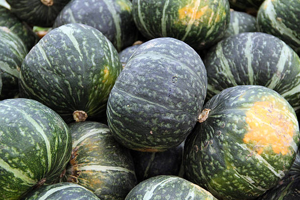 istock Pile of Japanese Kabocha Squash 160263408
