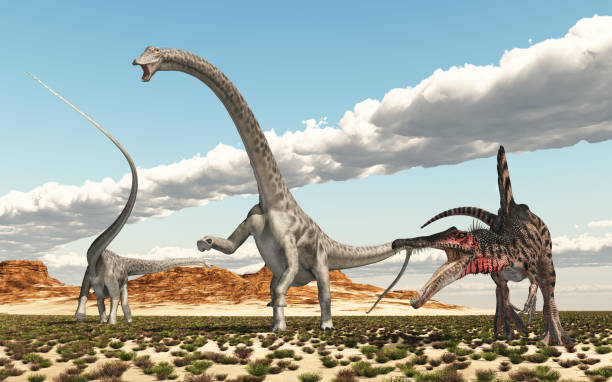 istock Dinosaurs Spinosaurus and Diplodocus in a desert landscape 1602642638