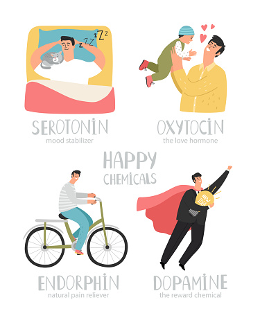 Hormones colorful vector illustrations. Mood stabilizer, love hormone, reward chemical, pain reliever. Endorphin dopamine oxytocin serotonin. Hormone health icon. Hormone health feeling