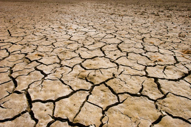 istock Extension of dry soil 1602661479