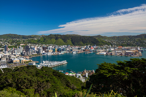 Wellington city centre in New Zealand