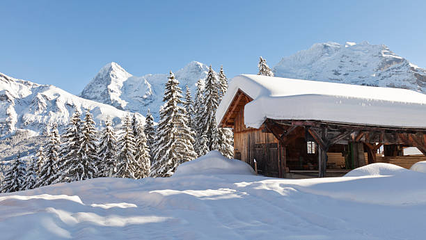 forte chute de neige près de mürren, suisse - muerren photos et images de collection