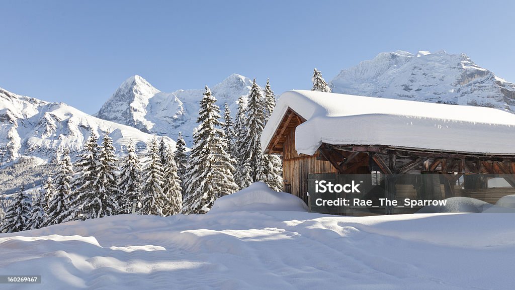 Neve forte vicino Mürren, Svizzera - Foto stock royalty-free di Svizzera
