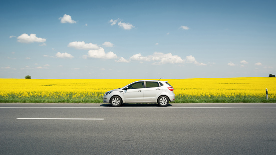 Rivne region, Ukraine - May 01 2014: silver KIA Rio in parked front of endless blooming rapeseed field. Weekend roadtrip with compact hatchback.