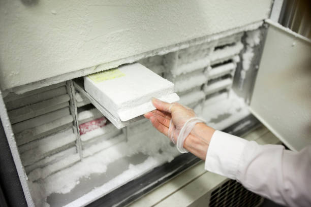istock Scientist manipulating a test tube in a laboratory. 1602703324