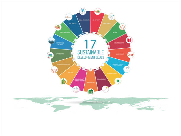 ilustrações de stock, clip art, desenhos animados e ícones de infographic featuring 17 vital sustainable development goals - agricultural fair illustrations