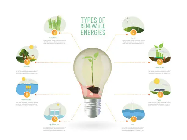 Vector illustration of Infographic of the 8 types of renewable energy