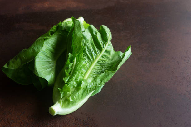 istock Lettuce -organic romaine, dark green. 1602737395