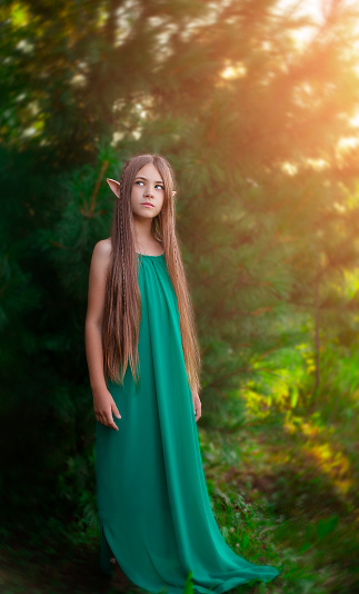 Portrait of a beautiful young girl in an elf costume in the forest