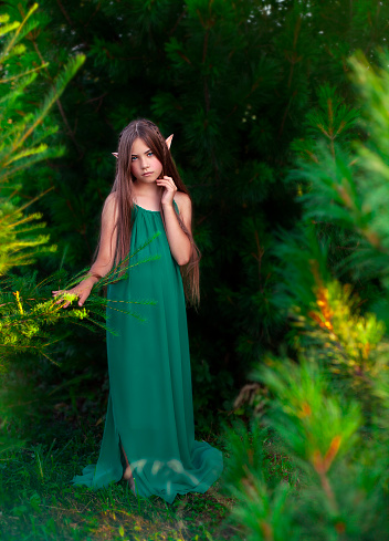 Portrait of a beautiful girl in a green dress on nature.