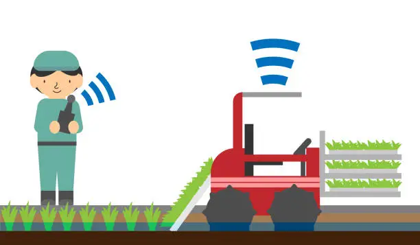 Vector illustration of Image illustration of unmanned rice planting