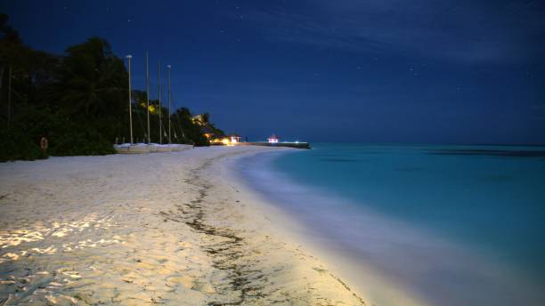 istock Scenic view of a pier in a tranquil sandy beach illuminated by starlight 1602751204