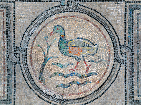 Aquatic bird walking in water on colourful floor mosaic dating to 4th century in Basilica of Sant Eufemia in Grado, Italy