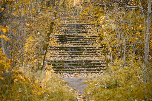 Ancient stairs in the middle of beautiful autumn. Beautiful autumn trees with autumn leaves surround the beautiful stairs