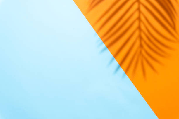 istock Light blue and orange summer colors background with palm shadow 1602825741