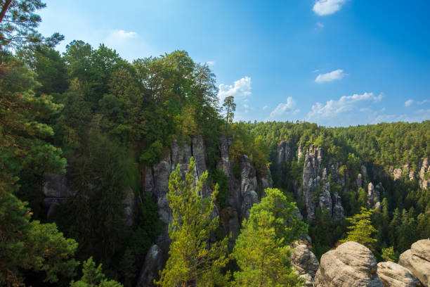 istock Elbsandsteingebirge in saxonia with tree in foreground 1602834821