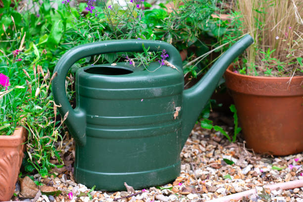 istock Green watering can in the garden 1602844289
