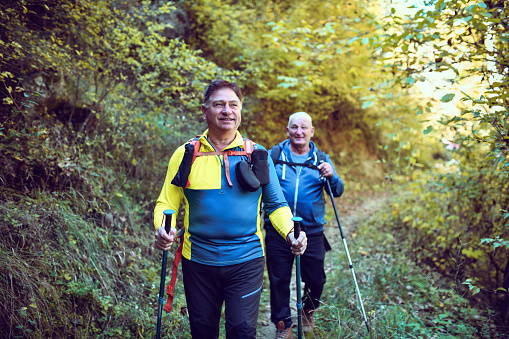 Two Male Senior Hikers Following Footpath In Nature