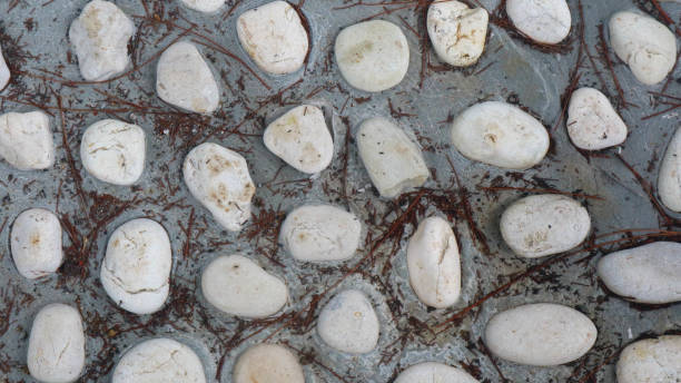 istock concrete floor with white stones as background 1602916041