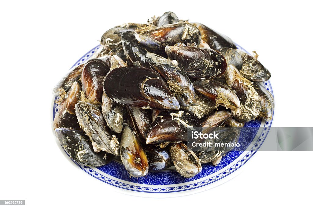 Azul Mexilhão bivalve - Royalty-free Alimentação Saudável Foto de stock