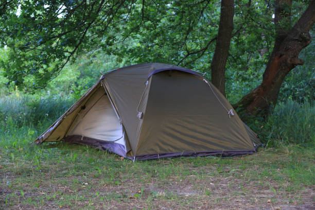 istock tourist tent under oak tree 1602932404