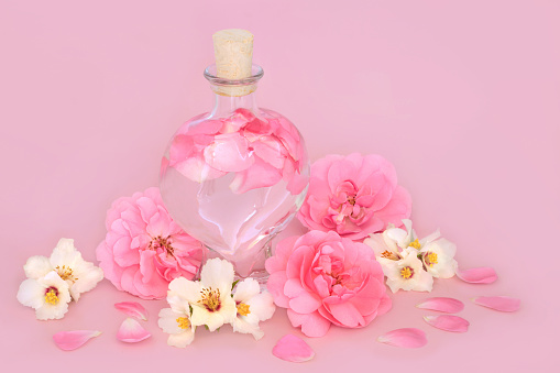 Rose and orange blossom flower perfume in heart shaped bottle on pink with loose flowers. Natural floral  pure beauty product, gift for Valentines Day, birthday, anniversary or Mothers day.