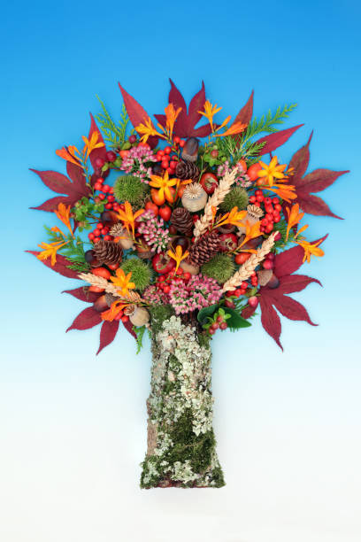 istock Surreal Nature Autumn Fall Thanksgiving Tree Composition 1602943944