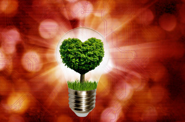istock Image  with a light bulb inside which a tree is symbolically placed, and the crown of the tree looking like a heart 1602948132