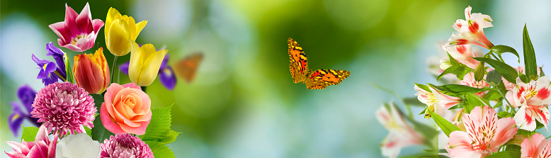 Image of bright beautiful flowers and a picturesque butterfly fluttering between them on a blurred green background