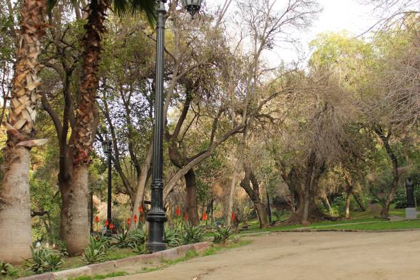 istock Public park in winter weather 1602963366