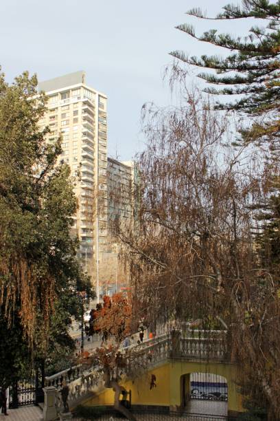 istock Fences, Trees in winter time and buildings in background 1602963373