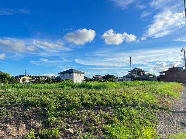 istock Countryside in the garden 1602966535