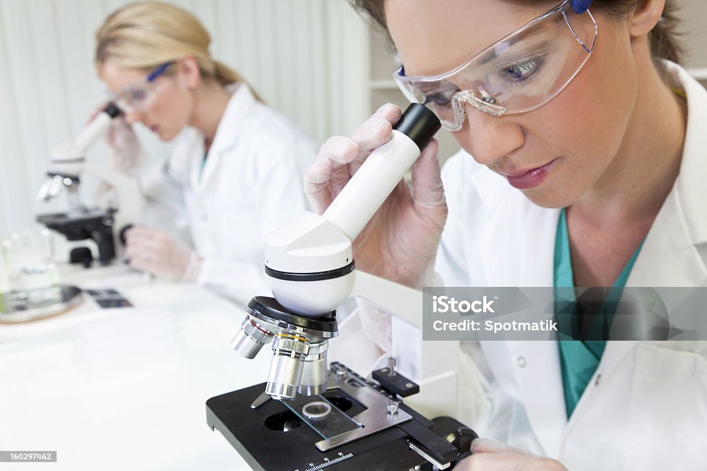 Equipe de investigação científica feminino usando microscópios em um laboratório - Foto de stock de Adulto royalty-free