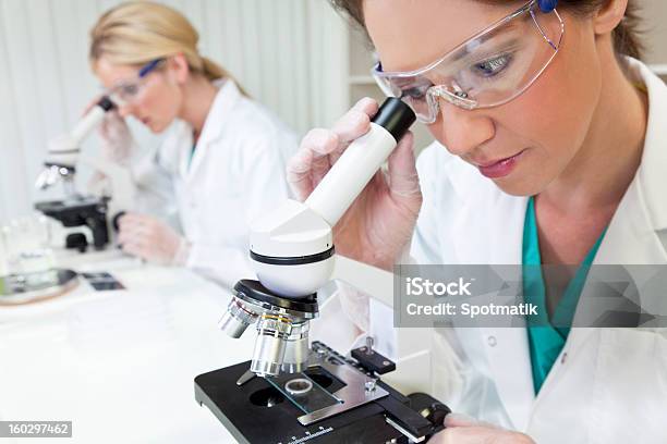 Foto de Equipe De Investigação Científica Feminino Usando Microscópios Em Um Laboratório e mais fotos de stock de Adulto
