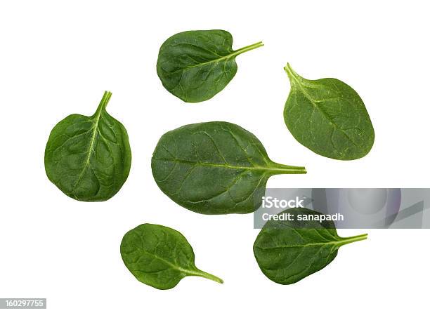 Spinach Stock Photo - Download Image Now - Spinach, Cut Out, Directly Above