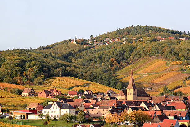 istock Niedermorschwihr in Alsace 160297812