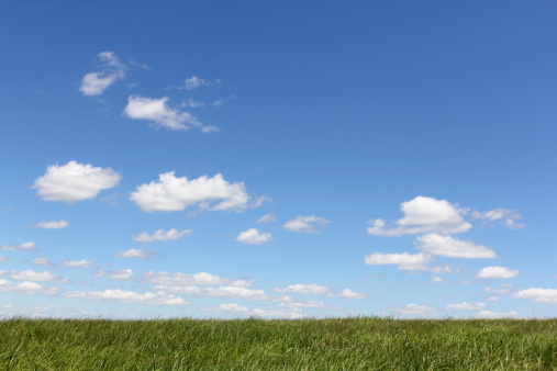 Grassy field with fair weather skies and small cumulus clouds.